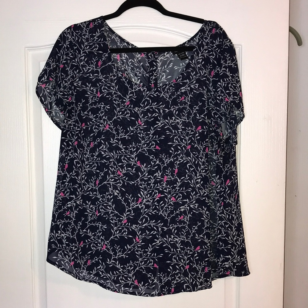 Sheer Bird and Branch Top